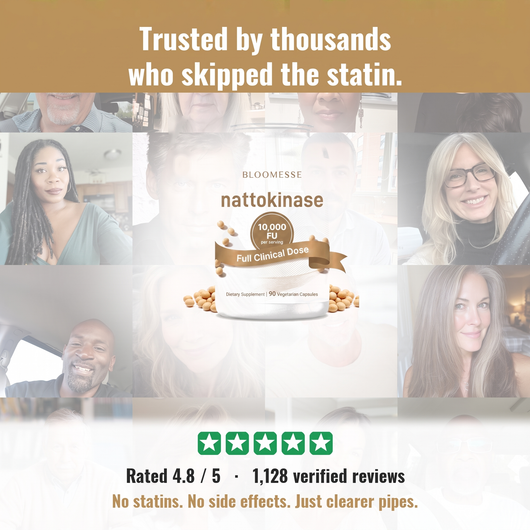 Trusted by thousands - 4.8 stars