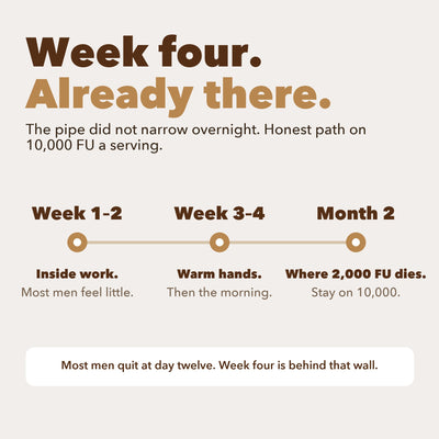 Week four. Already there - timeline